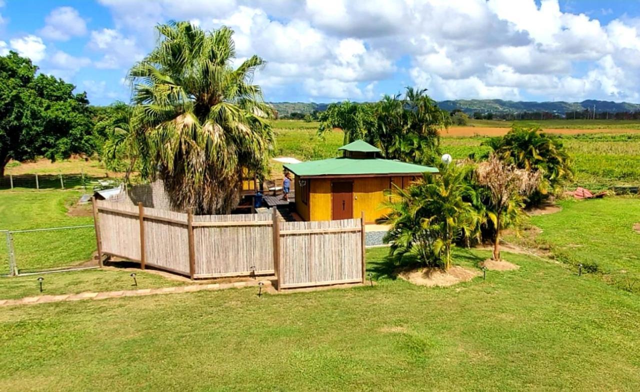 Hotel Ariami Rose Aguada Exterior foto